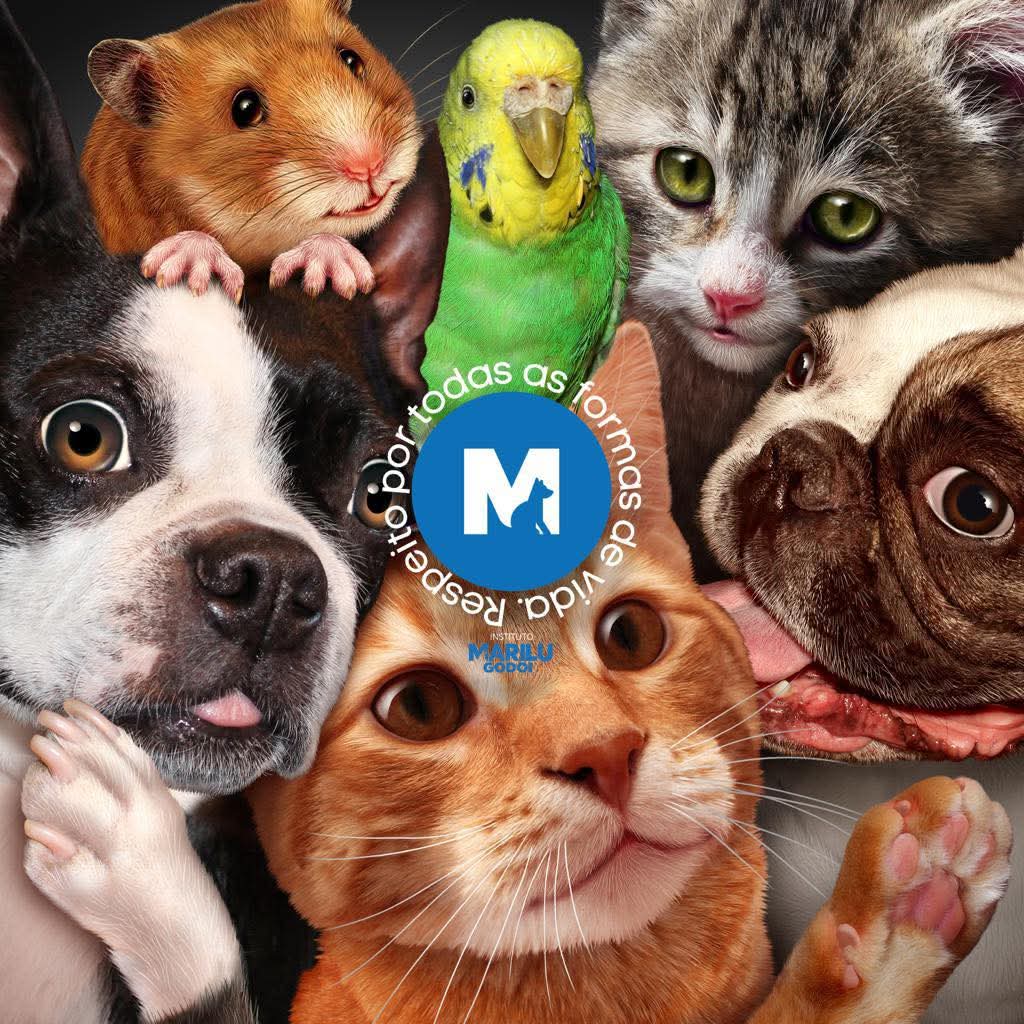 Imagem institucional